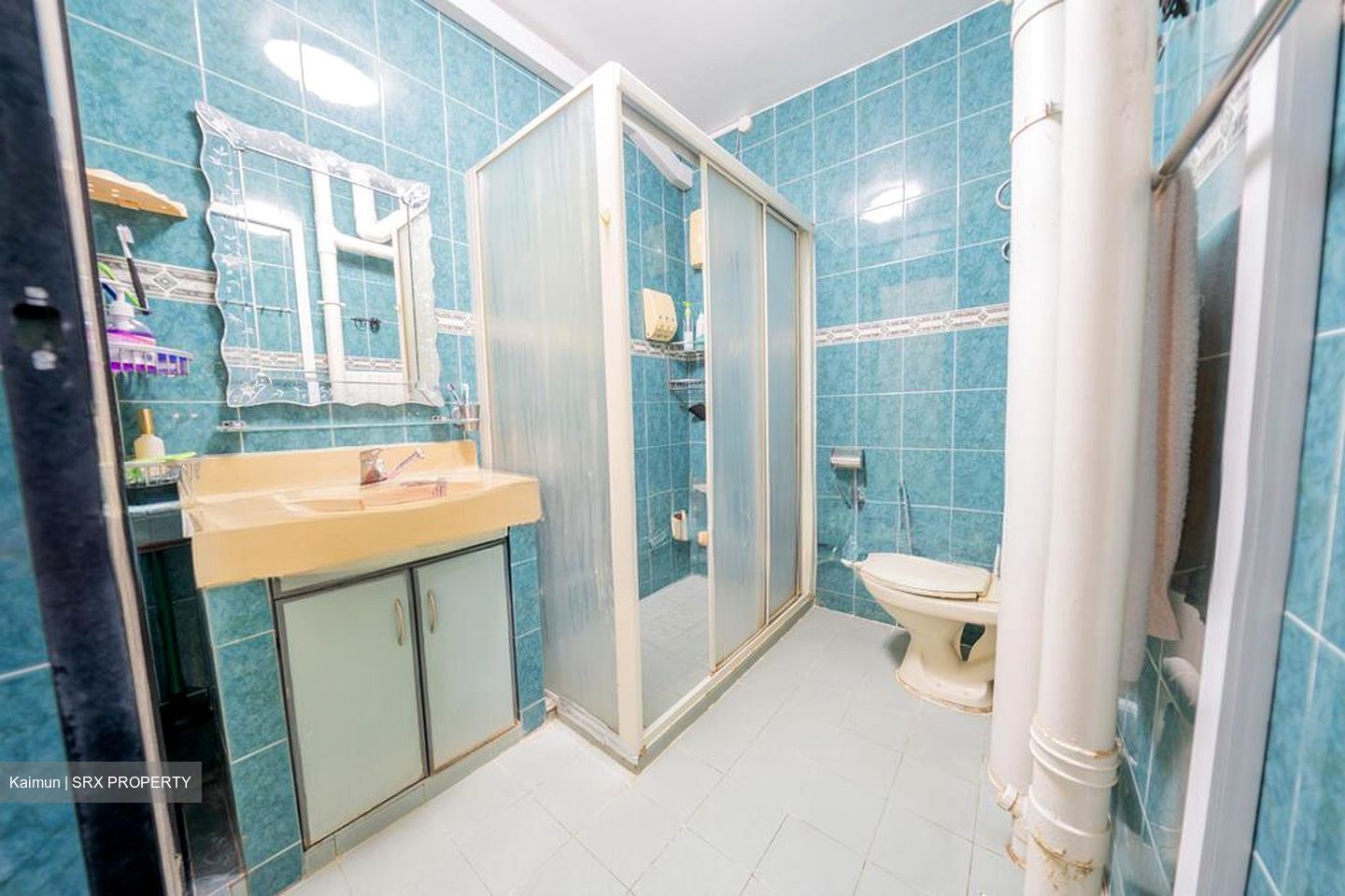 Blk 146 Tampines Avenue 5 (Tampines), HDB Executive #509420001